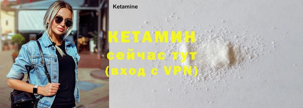 дмт Богданович