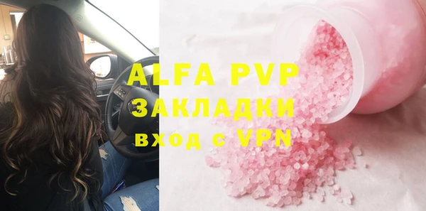 дмт Богданович