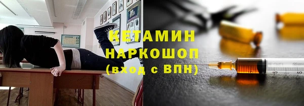 дмт Богданович