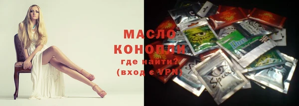 дмт Богданович