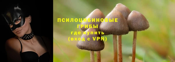 круглые Богородицк
