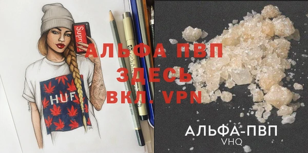 дмт Богданович
