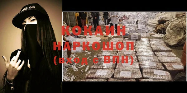 дмт Богданович