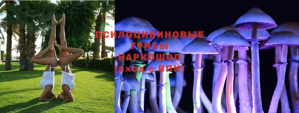 круглые Богородицк