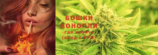 дмт Богданович