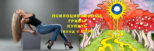 синтетический гашиш Богородск